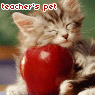   pusy_cat