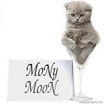   mony*moon