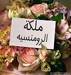 الصورة الرمزية ملكة الرومنسيه