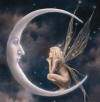   Angel><