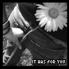 الصورة الرمزية RMOOSH