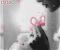   Pink..!!