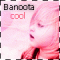   Banoota COOL